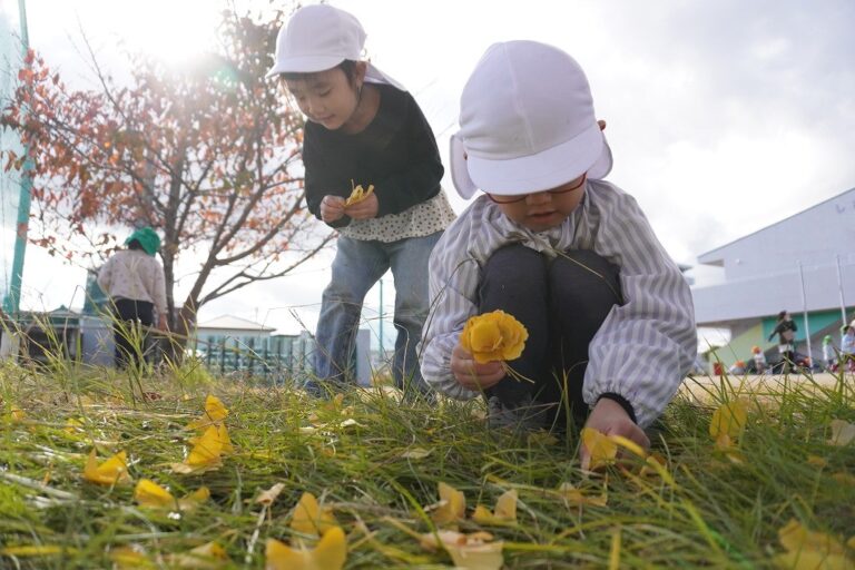 『きょうのほいくしょ』2024年11月29日