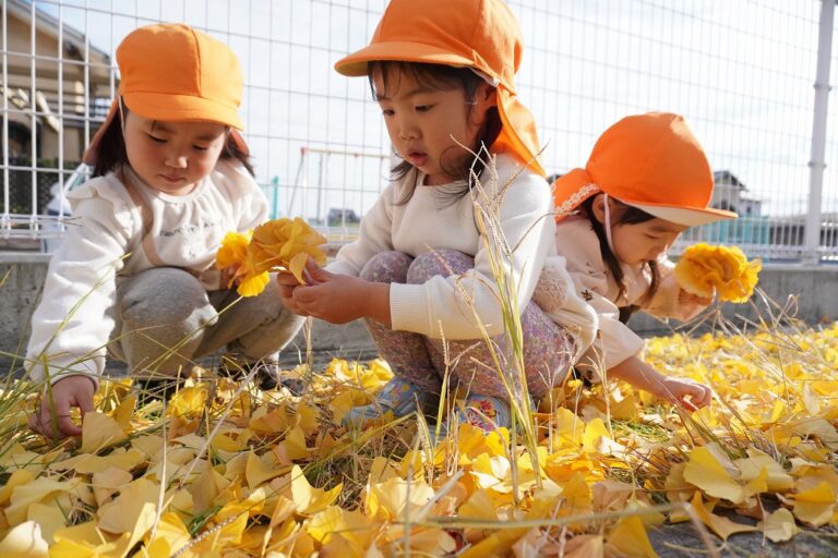 『きょうのほいくしょ』2024年12月5日