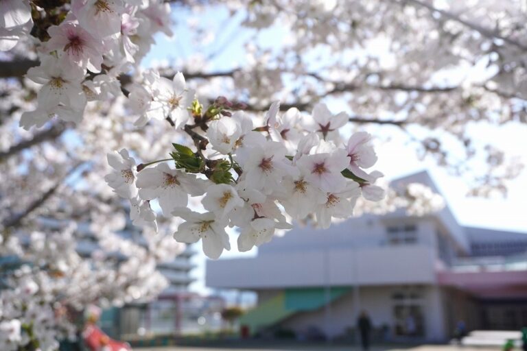 『きょうのほいくしょ』2026年4月7日